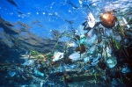It might sound like a cheap horror movie—but it's real. A huge, dangerous, growing island of trash!