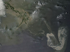 NASA Satellite image of the oil slick